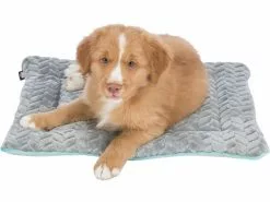 Trixie Hunde-Liegematte Junior, 50 x 40 cm, Hellgrau/Mint 10 Trixie Hunde-Liegematte Junior, 50 x 40 cm, Hellgrau/Mint -Hundewelt Verkäufe 220515108 xxl
