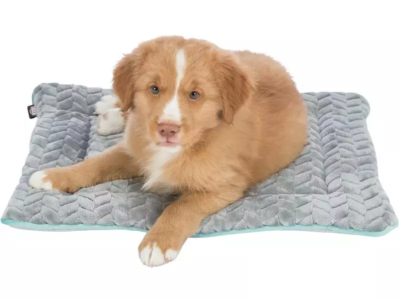 Trixie Hunde-Liegematte Junior, 50 x 40 cm, Hellgrau/Mint 4 Trixie Hunde-Liegematte Junior, 50 x 40 cm, Hellgrau/Mint - Image 4