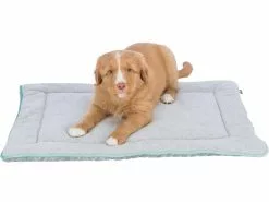 Trixie Hunde-Liegematte Junior, 70 x 50 cm, Hellgrau/Mint 11 Trixie Hunde-Liegematte Junior, 70 x 50 cm, Hellgrau/Mint -Hundewelt Verkäufe 220515957 xxl