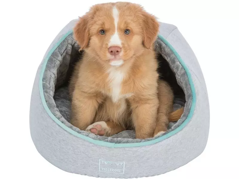 Trixie Kuschelhöhle Junior, ø 40 x 27 cm, Hellgrau/Mint 2 Trixie Kuschelhöhle Junior, ø 40 x 27 cm, Hellgrau/Mint - Image 2