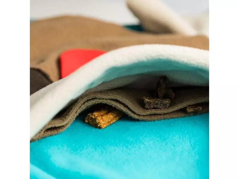 KNAUDER'S BEST Strategie-Spiel Sniffpad Buddy 4 KNAUDER'S BEST Strategie-Spiel Sniffpad Buddy - Image 4