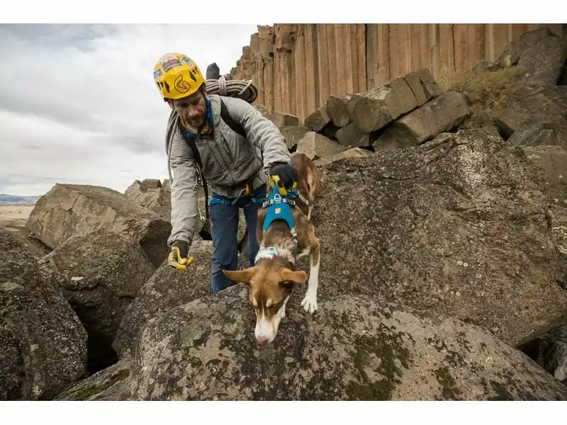 Ruffwear Geschirr Flagline, Blue Dusk 9 Ruffwear Geschirr Flagline, Blue Dusk - Image 9