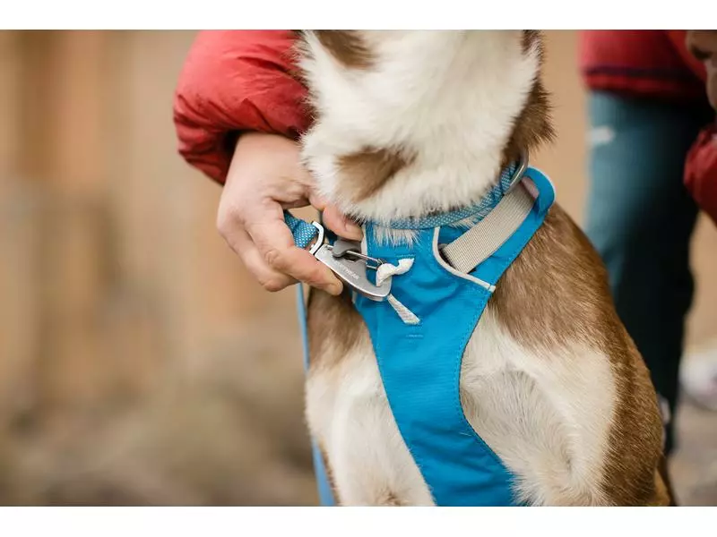Ruffwear Geschirr Flagline, Blue Dusk 8 Ruffwear Geschirr Flagline, Blue Dusk - Image 8