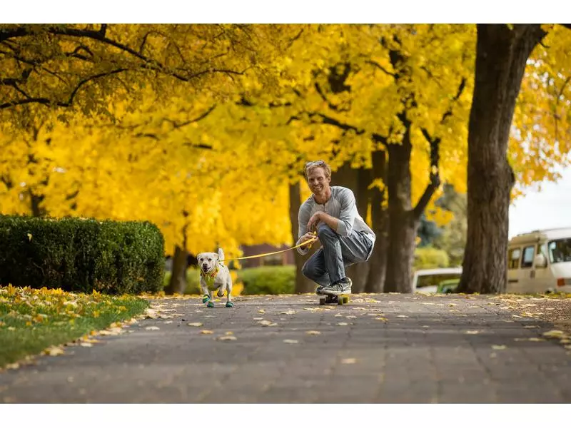 Ruffwear Geschirr Flagline, Lichen Green 10 Ruffwear Geschirr Flagline, Lichen Green - Image 10