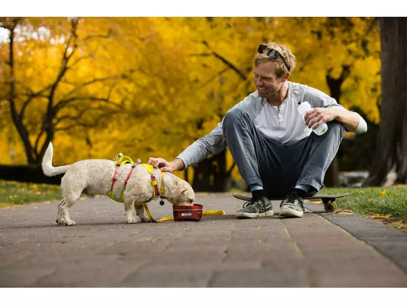 Ruffwear Geschirr Flagline, Lichen Green 8 Ruffwear Geschirr Flagline, Lichen Green - Image 8