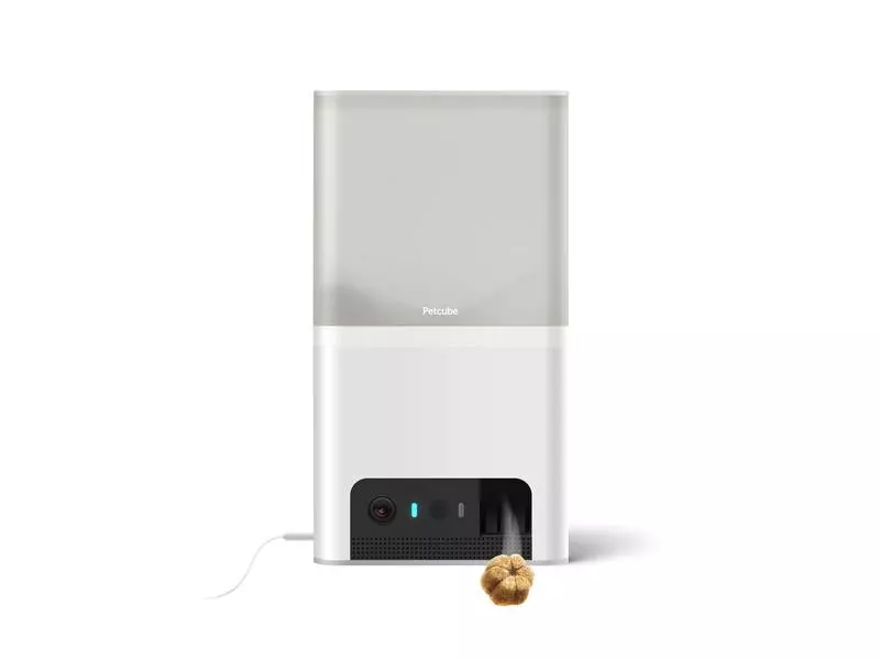 Petcube Haustierkamera Bites 2 Light 2 Petcube Haustierkamera Bites 2 Light - Image 2