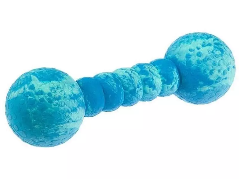 Wolters Hunde-Spielzeug Aqua-Fun Gym, 23 cm 1 Wolters Hunde-Spielzeug Aqua-Fun Gym, 23 cm