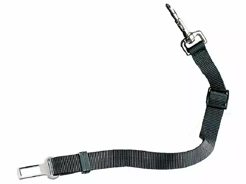 Nobby Sicherheitsgurt, Schwarz 1 Nobby Sicherheitsgurt, Schwarz