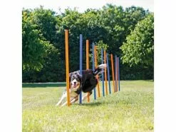 Trixie Agility Slalom Dog Activity Set, 12 Stangen 21 Trixie Agility Slalom Dog Activity Set, 12 Stangen -Hundewelt Verkäufe 224389838 xxl