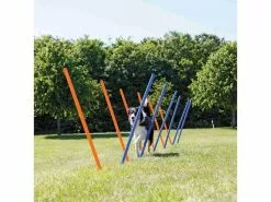Trixie Agility Slalom Dog Activity Set, 12 Stangen 18 Trixie Agility Slalom Dog Activity Set, 12 Stangen -Hundewelt Verkäufe 224389868 xxl