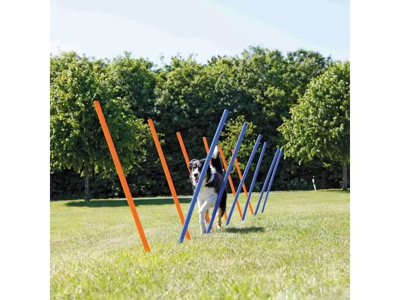 Trixie Agility Slalom Dog Activity Set, 12 Stangen 8 Trixie Agility Slalom Dog Activity Set, 12 Stangen - Image 8