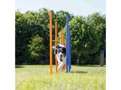 Trixie Agility Slalom Dog Activity Set, 12 Stangen 20 Trixie Agility Slalom Dog Activity Set, 12 Stangen -Hundewelt Verkäufe 224389901 xxl