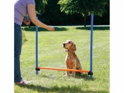 Trixie Agility Hürde Dog Activity -Hundewelt Verkäufe 224391497 xxl