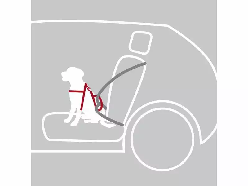 Trixie Auto-Geschirr Dog Protect L 2 Trixie Auto-Geschirr Dog Protect L - Image 2