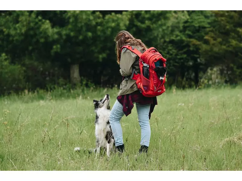 Kurgo Tiertransport-Rucksack G-Train K9, Chili Red 3 Kurgo Tiertransport-Rucksack G-Train K9, Chili Red - Image 3