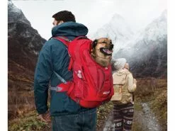 Kurgo Tiertransport-Rucksack G-Train K9, Chili Red 15 Kurgo Tiertransport-Rucksack G-Train K9, Chili Red -Hundewelt Verkäufe 224558077 xxl