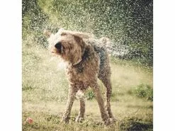 Kurgo Mud Dog Travel Shower -Hundewelt Verkäufe 224558153 xxl