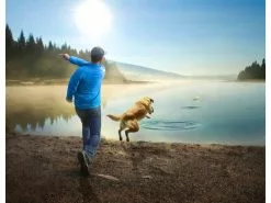 Kurgo Schwimmspielzeug Skipping Stones, 2er-Set, Assortiert 13 Kurgo Schwimmspielzeug Skipping Stones, 2er-Set, Assortiert -Hundewelt Verkäufe 224558597 xxl