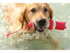 Rogz Schwimmspielzeug Leuchtturm, Rot-Weiss -Hundewelt Verkäufe 224774667 xxl