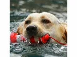 Rogz Schwimmspielzeug Leuchtturm, Rot-Weiss -Hundewelt Verkäufe 224774712 xxl