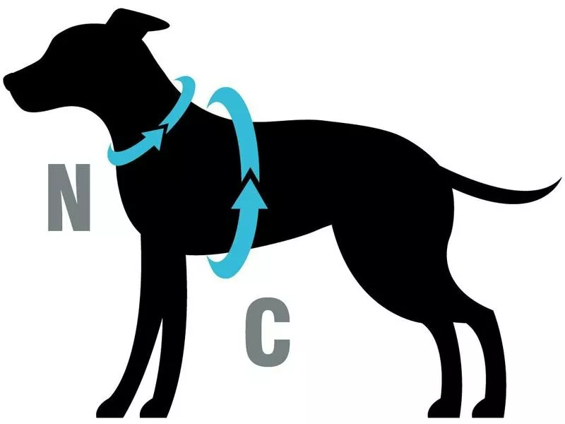 Petlando Geschirr Y-Comfort Mesh, Cognac 2 Petlando Geschirr Y-Comfort Mesh, Cognac - Image 2