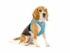 Curli Geschirr Vest Air-Mesh 3XS, Türkis, Special Edition 2022 7 Curli Geschirr Vest Air-Mesh 3XS, Türkis, Special Edition 2022 -Hundewelt Verkäufe 225537778 xxl