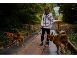 Wigzi Hundeleine Dual Doggie Gel S Schwarz -Hundewelt Verkäufe 225708195 xxl