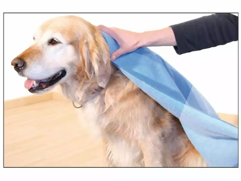 SwissPet Handtuch Micro S, Blau 2 SwissPet Handtuch Micro S, Blau - Image 2