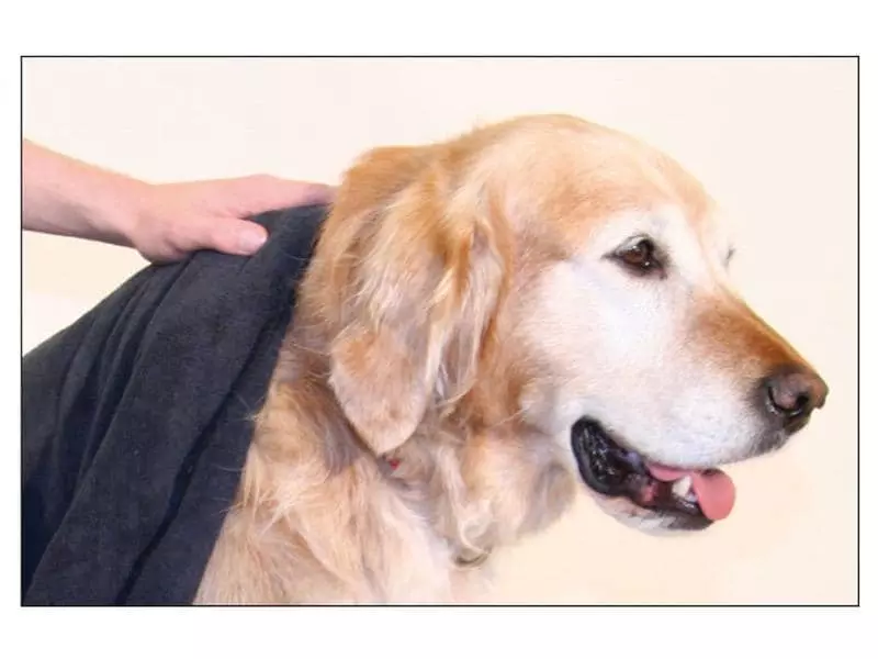 SwissPet Handtuch Micro L, Dunkelgrau 2 SwissPet Handtuch Micro L, Dunkelgrau - Image 2