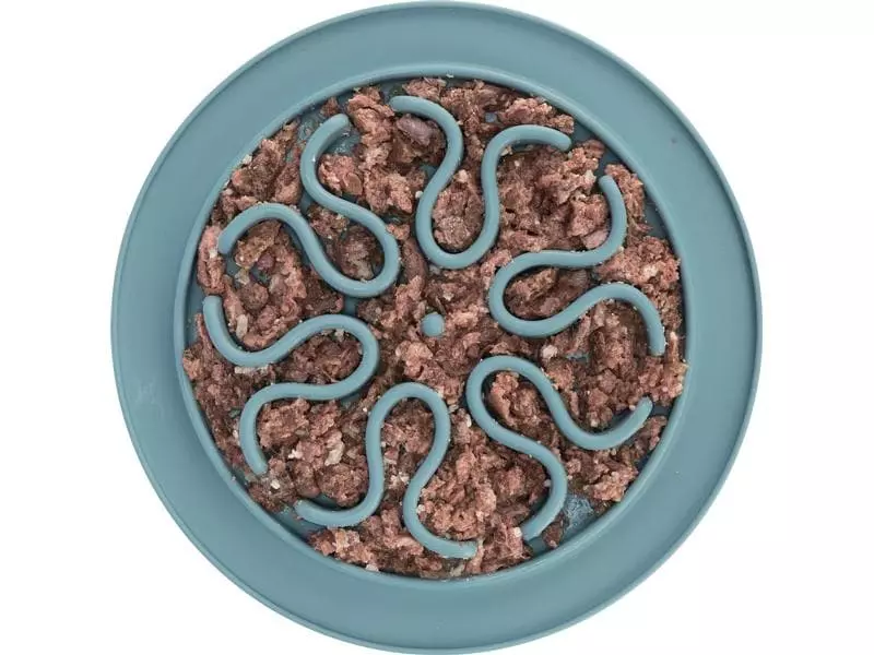 Trixie Futtermatte Slow Feed Silikon, Ø 24 cm 4 Trixie Futtermatte Slow Feed Silikon, Ø 24 cm - Image 4