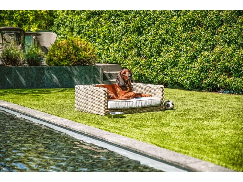 Greemotion PET Hunde-Sofa Rattan-Optik, Beige, Grösse M 7 Greemotion PET Hunde-Sofa Rattan-Optik, Beige, Grösse M - Image 7