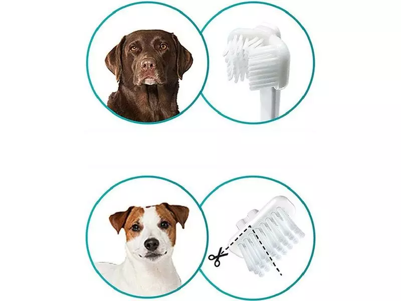 Mira-pet Ultraschallzahnbürste Starter-Kit 4 Mira-pet Ultraschallzahnbürste Starter-Kit - Image 4