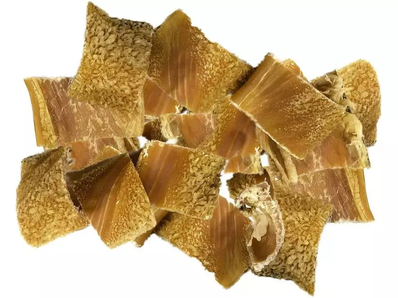 NATUREonly Kausnack Rinderpansen Chips dunkel, 450 g 2 NATUREonly Kausnack Rinderpansen Chips dunkel, 450 g - Image 2