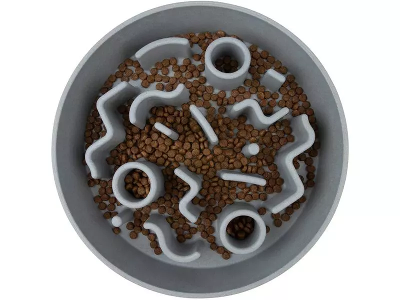 District 70 Bambusnapf Bamboo Dog Slow Feeder Ø 28 cm, Ice-Blue 4 District 70 Bambusnapf Bamboo Dog Slow Feeder Ø 28 cm, Ice-Blue - Image 4