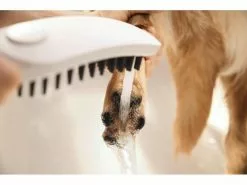 Hansgrohe Handbrause DogShower, Weiss matt 8 Hansgrohe Handbrause DogShower, Weiss matt -Hundewelt Verkäufe 228258779 xxl