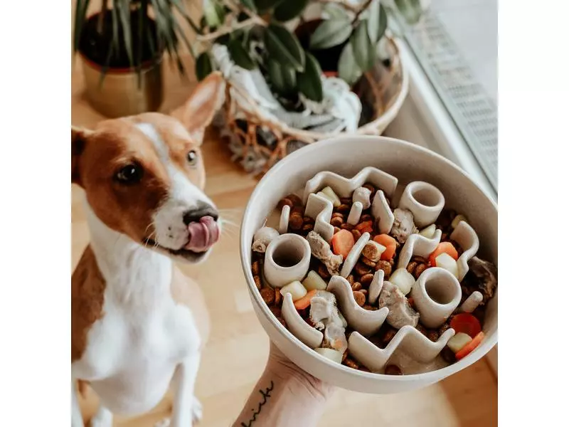 District 70 Bambusnapf Bamboo Dog Slow Feeder Ø 21 cm, Creme-Weiss 6 District 70 Bambusnapf Bamboo Dog Slow Feeder Ø 21 cm, Creme-Weiss - Image 6