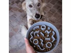 District 70 Bambusnapf Bamboo Dog Slow Feeder Ø 21 cm, Ice-Blue 10 District 70 Bambusnapf Bamboo Dog Slow Feeder Ø 21 cm, Ice-Blue -Hundewelt Verkäufe 228265407 xxl