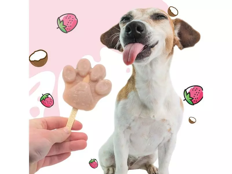 BeG Buddy Hunde-Nahrungsergänzung Eispulver mit Kokos-Erdbeere, 66 g 4 BeG Buddy Hunde-Nahrungsergänzung Eispulver mit Kokos-Erdbeere, 66 g - Image 4