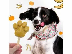 BeG Buddy Hunde-Nahrungsergänzung Eispulver mit Kürbis-Banane, 66 g 7 BeG Buddy Hunde-Nahrungsergänzung Eispulver mit Kürbis-Banane, 66 g -Hundewelt Verkäufe 228518872 xxl