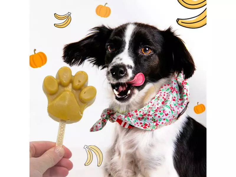 BeG Buddy Hunde-Nahrungsergänzung Eispulver mit Kürbis-Banane, 66 g 4 BeG Buddy Hunde-Nahrungsergänzung Eispulver mit Kürbis-Banane, 66 g - Image 4