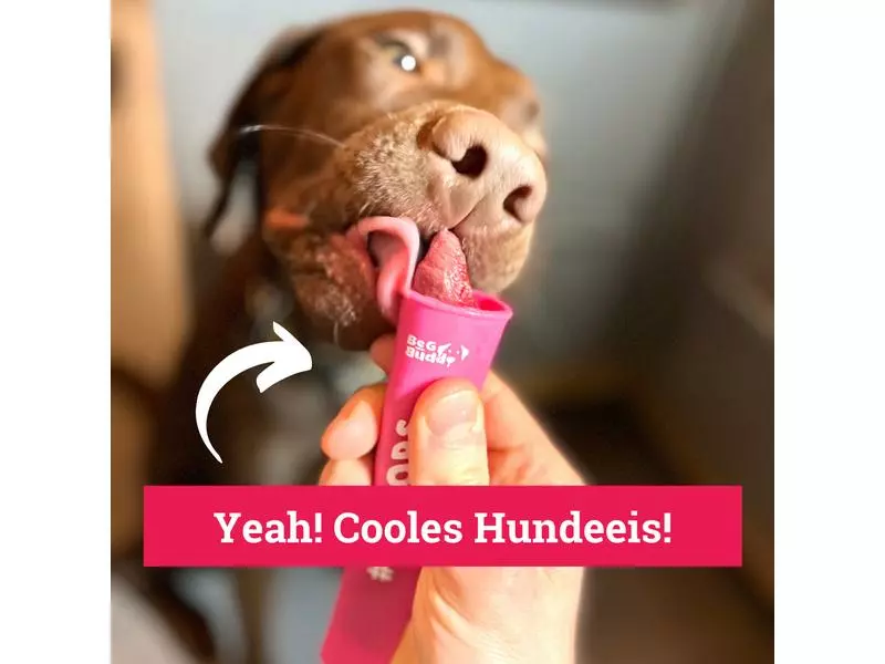 BeG Buddy Icepops, 6 Stück 2 BeG Buddy Icepops, 6 Stück - Image 2