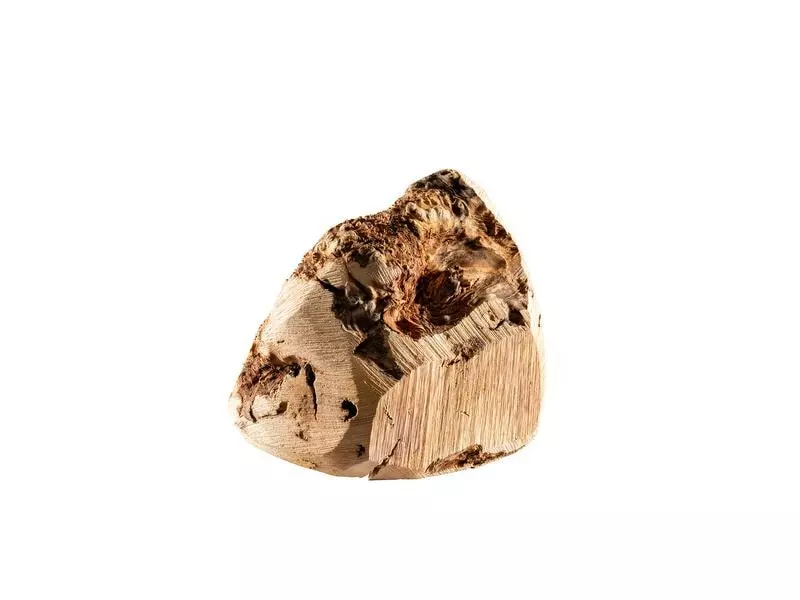 Chewies Kauwurzel L 1 Chewies Kauwurzel L