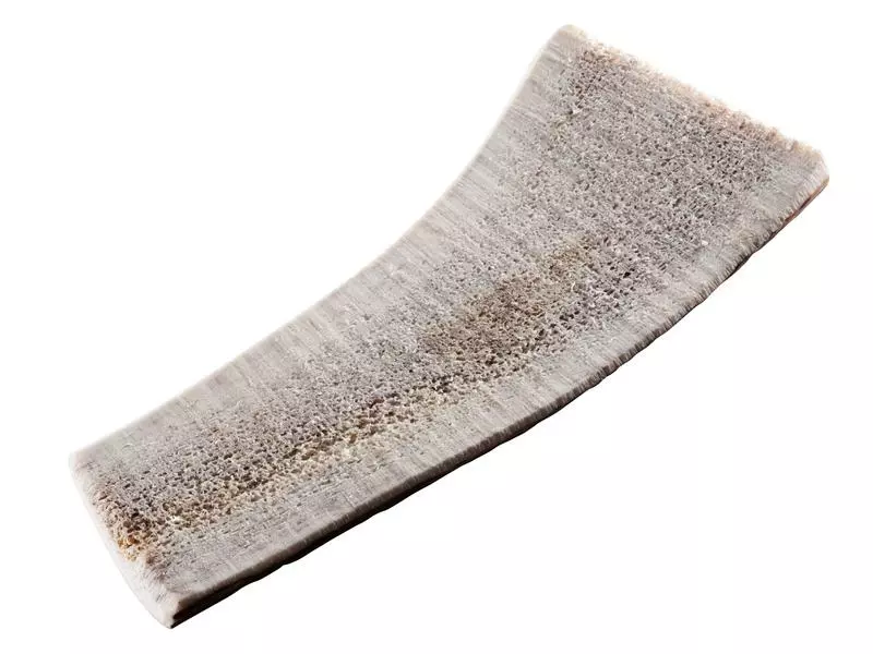 Chewies Rothirsch-Geweihstange M halb 1 Chewies Rothirsch-Geweihstange M halb