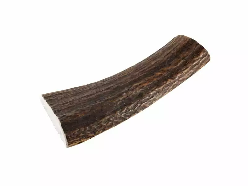 Chewies Rothirsch-Geweihstange M halb 2 Chewies Rothirsch-Geweihstange M halb - Image 2