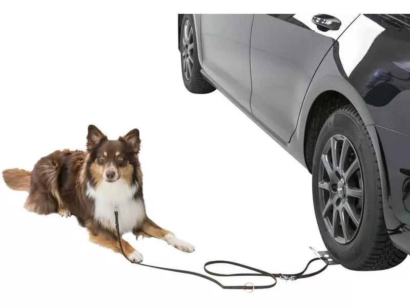 Trixie Auffahrplatte zum Anleinen 2 Trixie Auffahrplatte zum Anleinen - Image 2