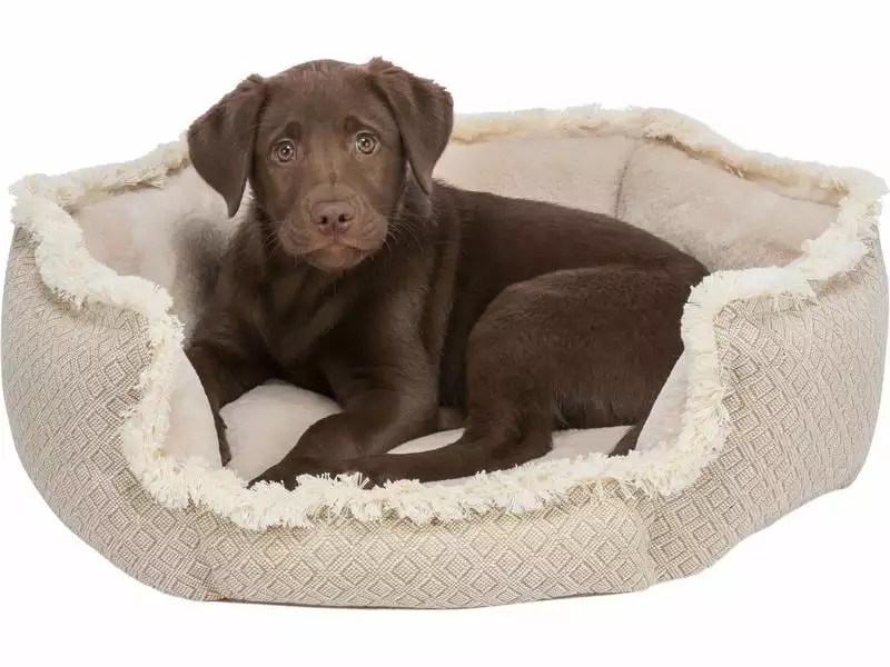 Trixie Hunde-Bett Boho SOFT Edition, 80 x 80 cm 2 Trixie Hunde-Bett Boho SOFT Edition, 80 x 80 cm - Image 2