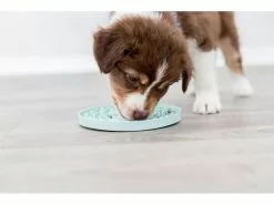 Trixie Junior Schleckplatte, Ø 21 cm, Mint 11 Trixie Junior Schleckplatte, Ø 21 cm, Mint -Hundewelt Verkäufe 229976457 xxl