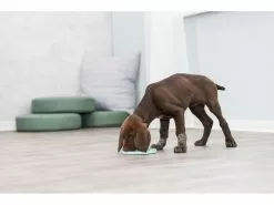 Trixie Junior Schleckplatte, Ø 21 cm, Mint 12 Trixie Junior Schleckplatte, Ø 21 cm, Mint -Hundewelt Verkäufe 229976461 xxl