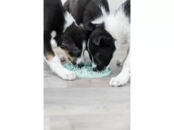 Trixie Junior Schleckplatte, Ø 21 cm, Mint 13 Trixie Junior Schleckplatte, Ø 21 cm, Mint -Hundewelt Verkäufe 229976463 xxl