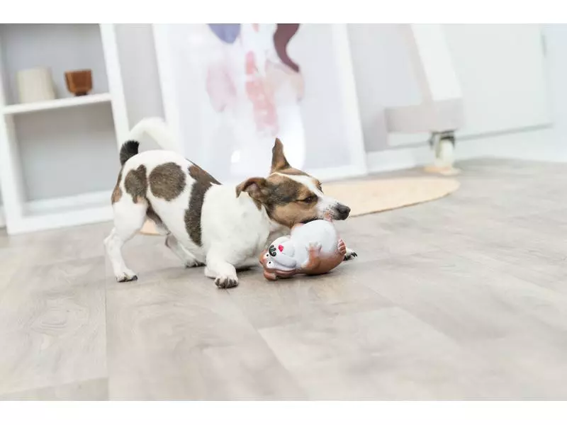 Trixie Hunde-Spielzeug Hund, 14 cm 4 Trixie Hunde-Spielzeug Hund, 14 cm - Image 4